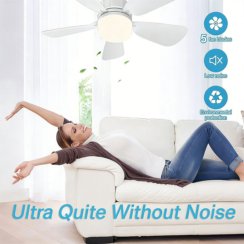 E27 Screw Ceiling Fan Light wi - Home Bathroom Fan recension och pris